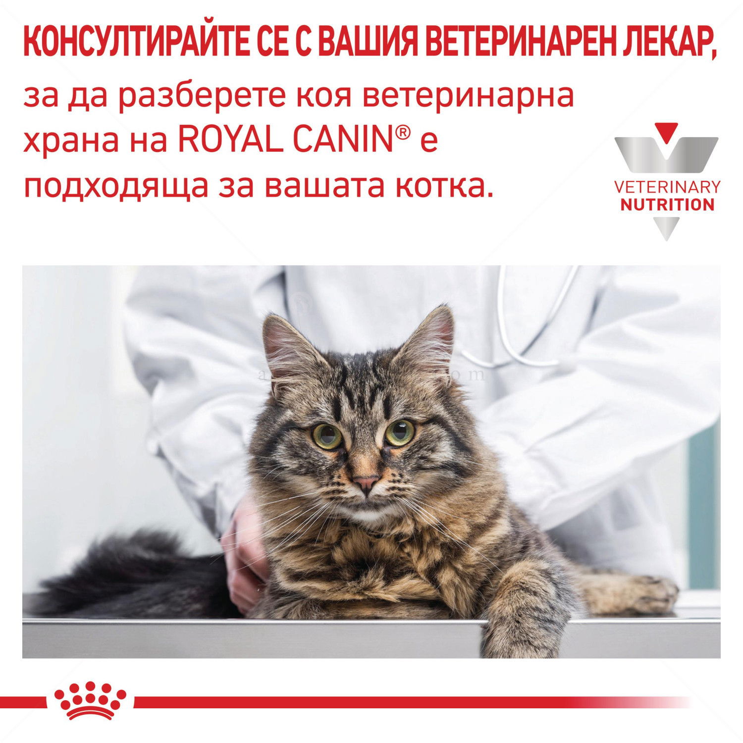 ROYAL CANIN Veterinary Cat Hepatic 2 кг