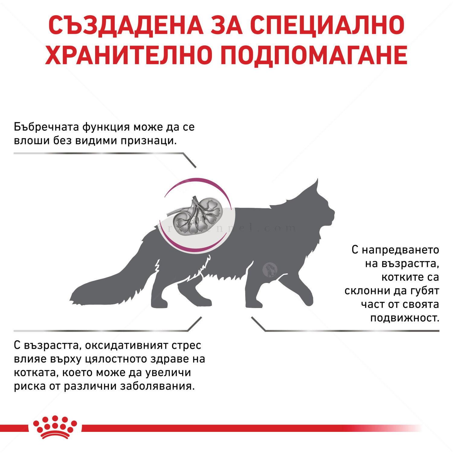 ROYAL CANIN Veterinary Cat Early Renal 400 гр