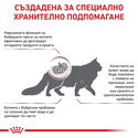 ROYAL CANIN Veterinary Cat Renal 400 гр
