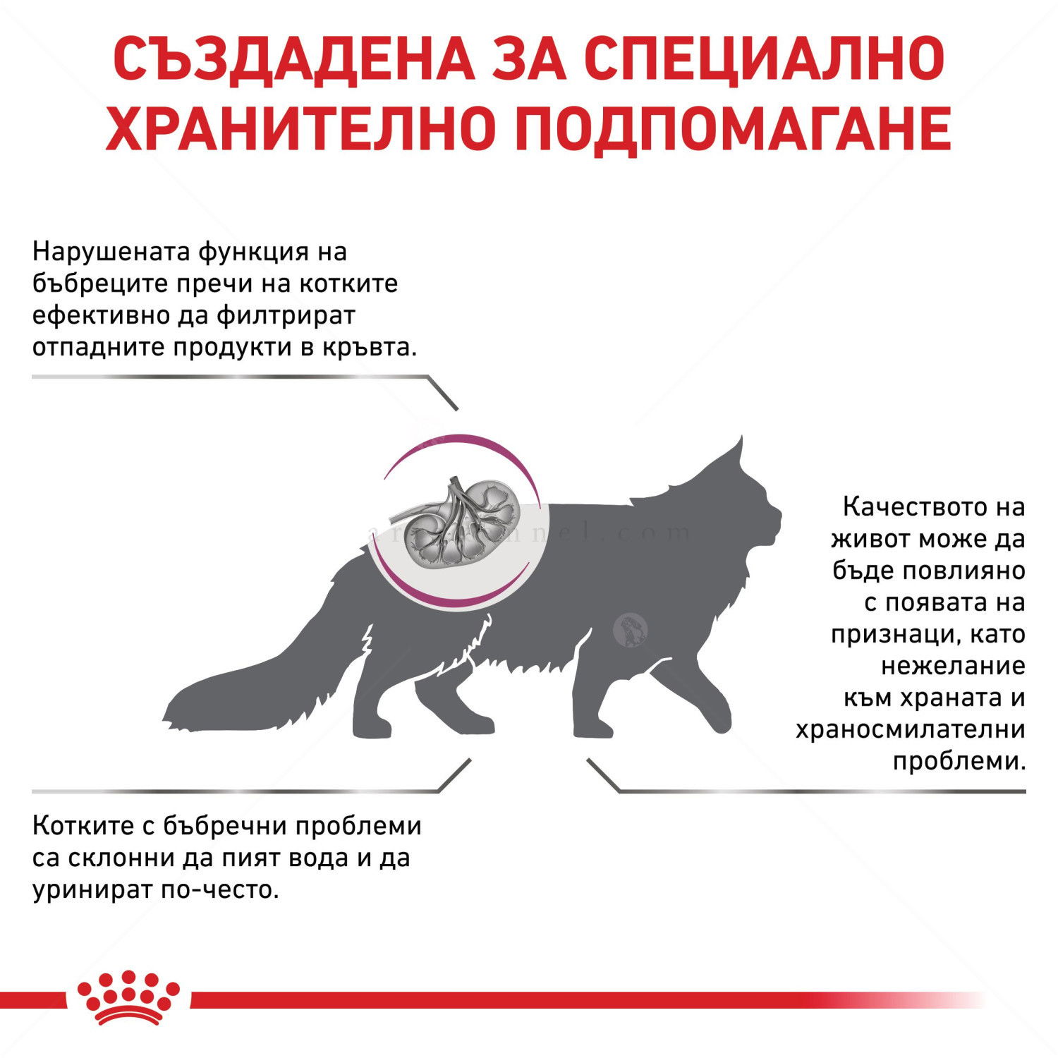 ROYAL CANIN Veterinary Cat Renal 400 гр