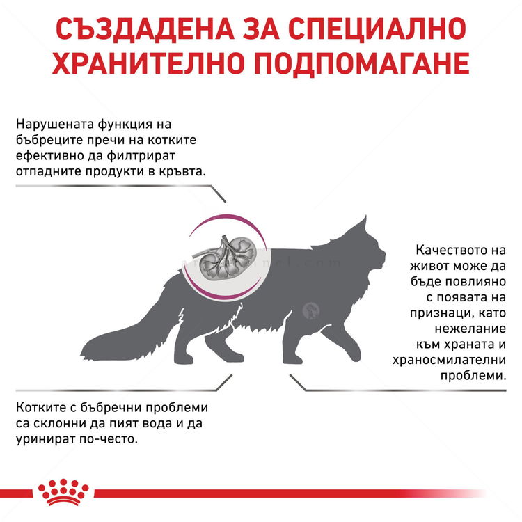 ROYAL CANIN Veterinary Cat Renal 2 кг