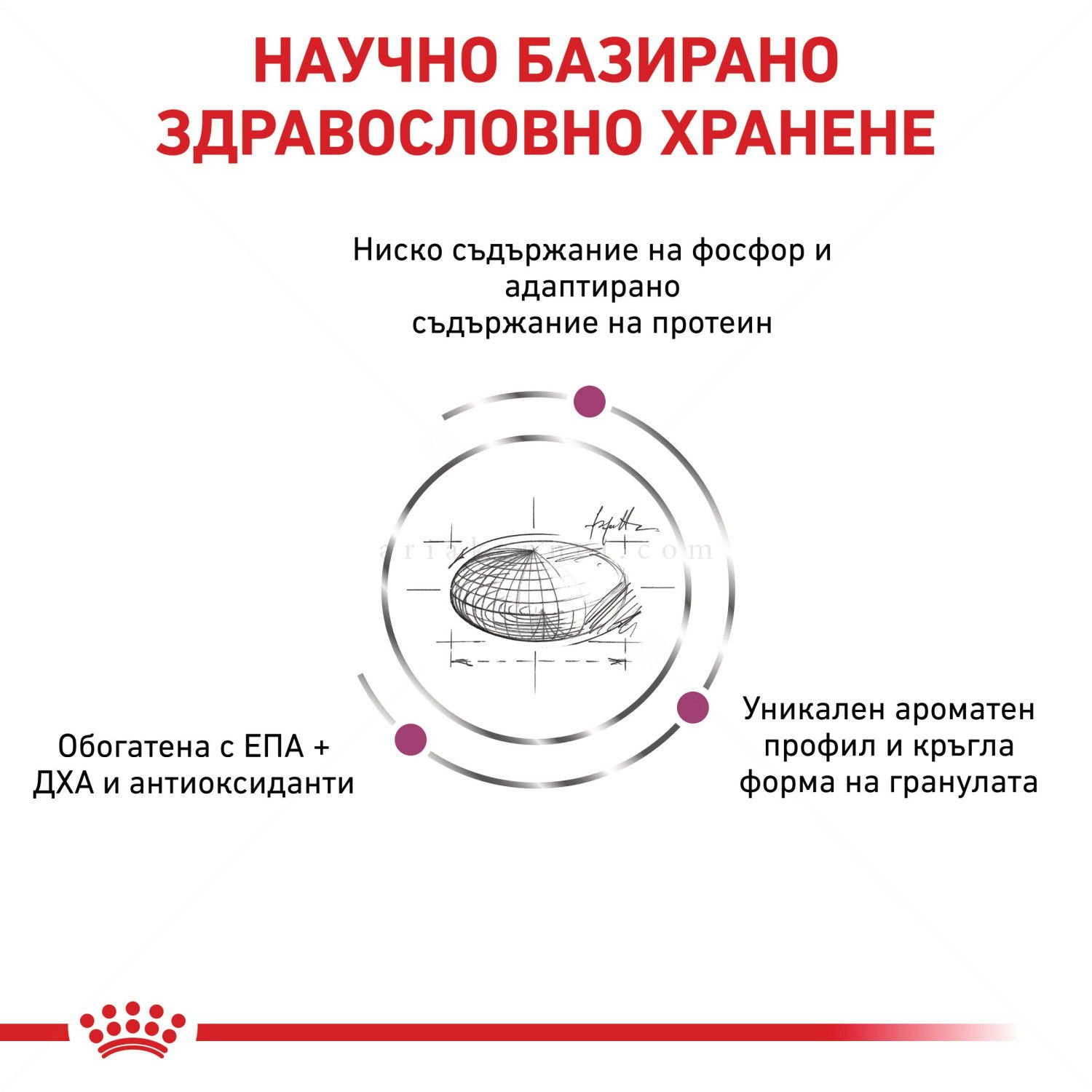 ROYAL CANIN Veterinary Cat Renal 4 кг