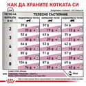 ROYAL CANIN Veterinary Cat Renal 4 кг