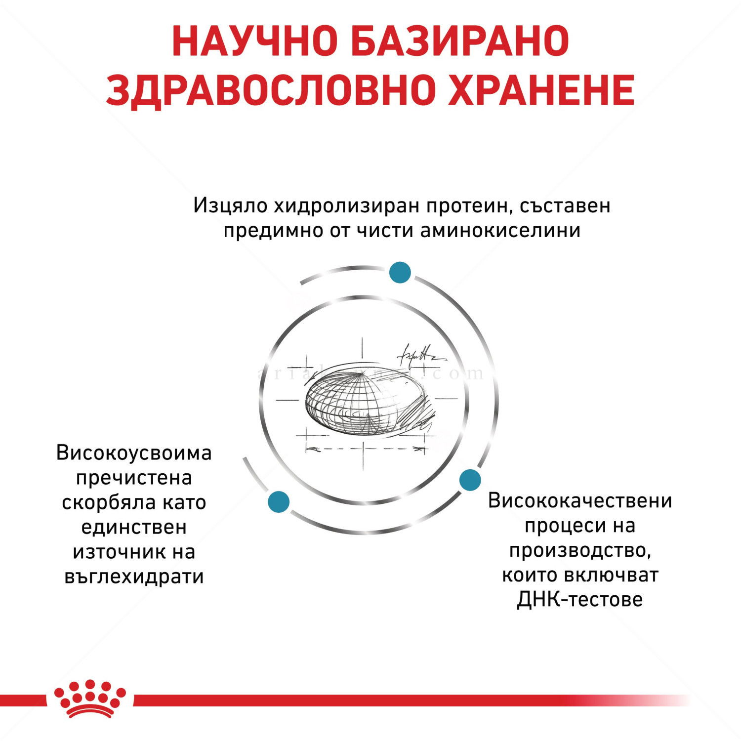 ROYAL CANIN Veterinary Dog Anallergenic 1.500 кг