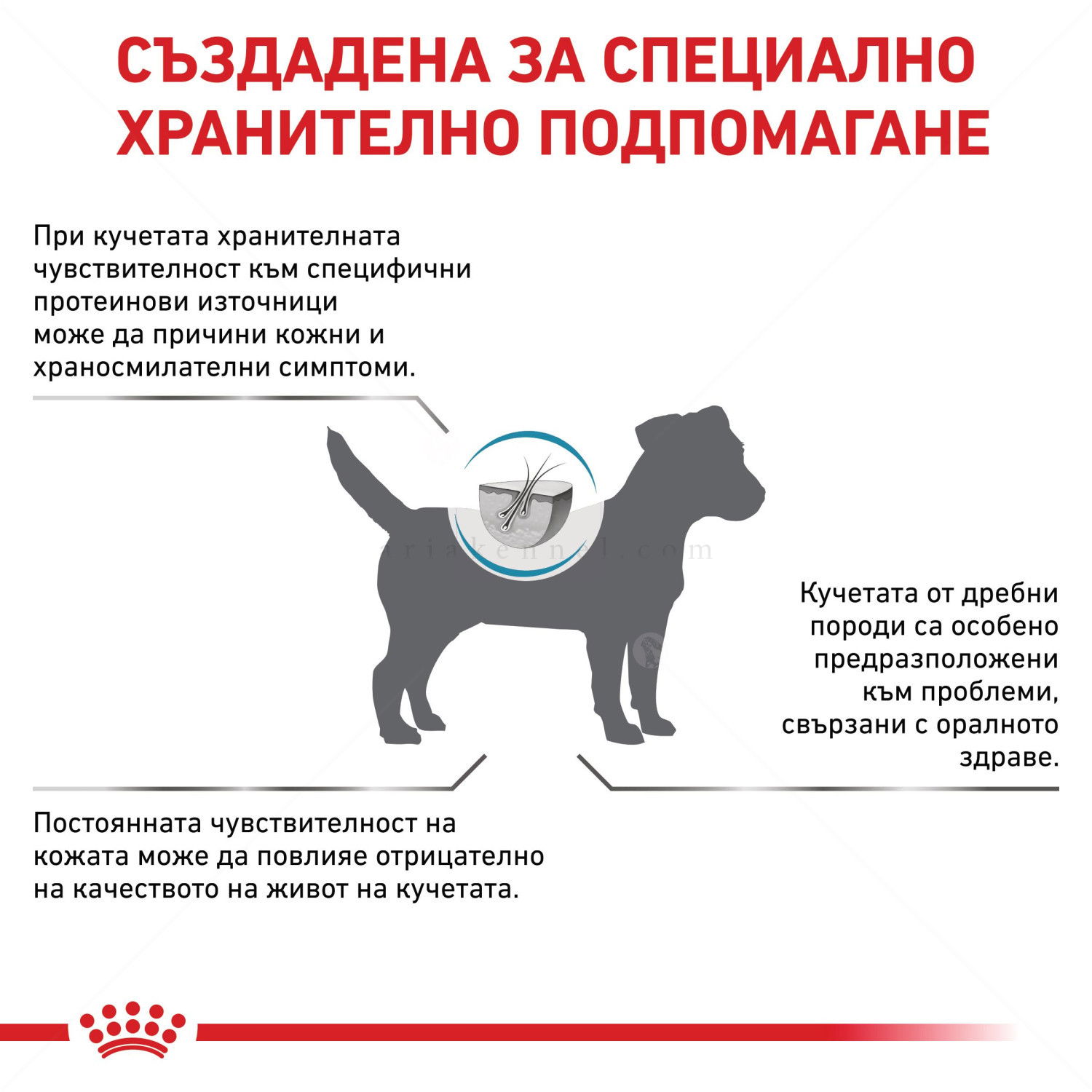 ROYAL CANIN Veterinary Dog Anallergenic Small Dog 3 кг