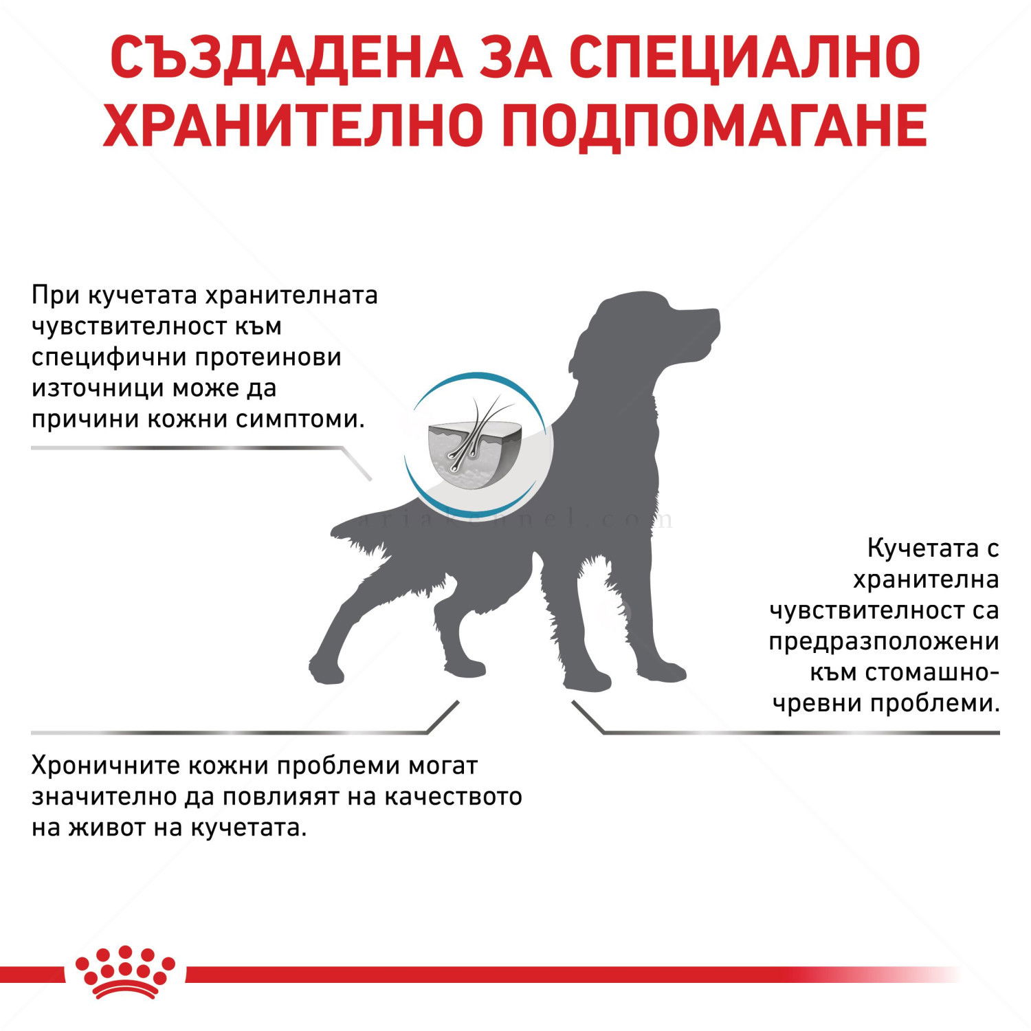 ROYAL CANIN Veterinary Dog Hypoallergenic 2 кг