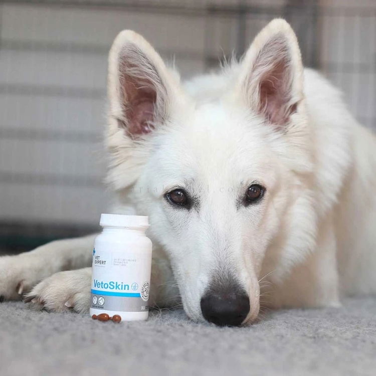 Хранителна добавка за здрава кожа и козина VET EXPERT VetoSkin, 90 капсули