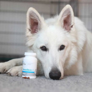 Хранителна добавка за здрава кожа и козина VET EXPERT VetoSkin, 90 капсули