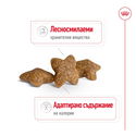 ROYAL CANIN Mini Adult - 4 кг