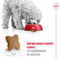 ROYAL CANIN Mini Adult - 4 кг