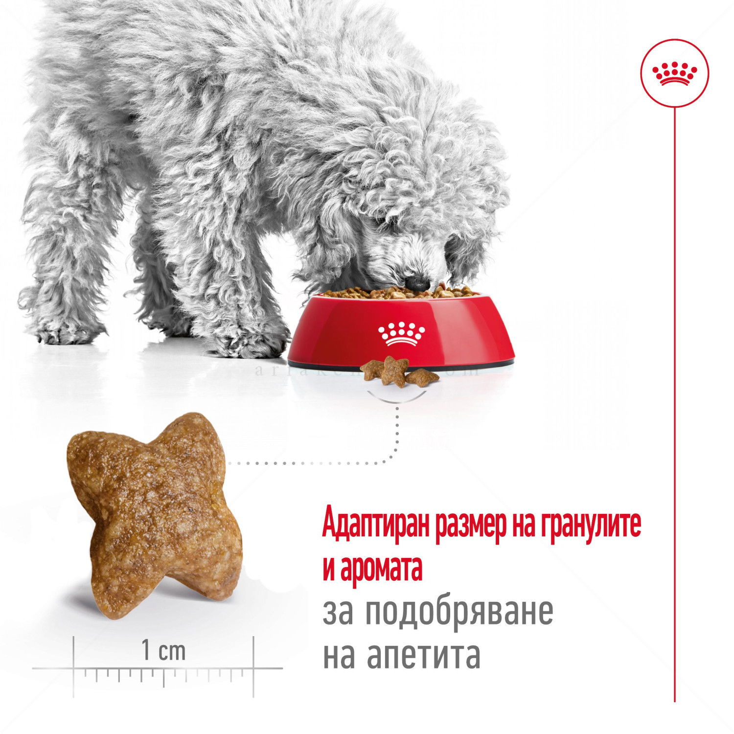 ROYAL CANIN Mini Adult - 4 кг