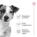 ROYAL CANIN Mini Adult - 4 кг