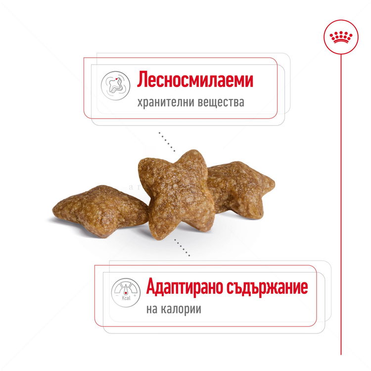 ROYAL CANIN Mini Adult - 8 кг