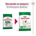 ROYAL CANIN Mini Adult - 2 кг