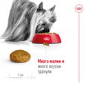 ROYAL CANIN X-Small Adult - 1.500 кг