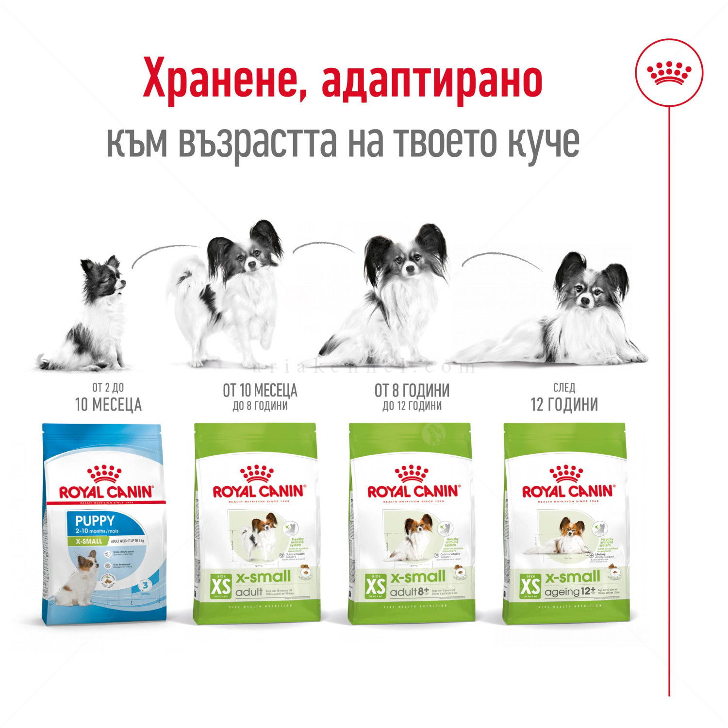 ROYAL CANIN X-Small Adult - 1.500 кг
