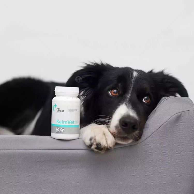 Хранителна добавка за облекчаване симптомите на стрес VET EXPERT KalmVet, 60 капсули