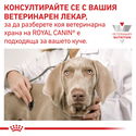 ROYAL CANIN Veterinary Dog Gastrointestinal Low Fat 6 кг