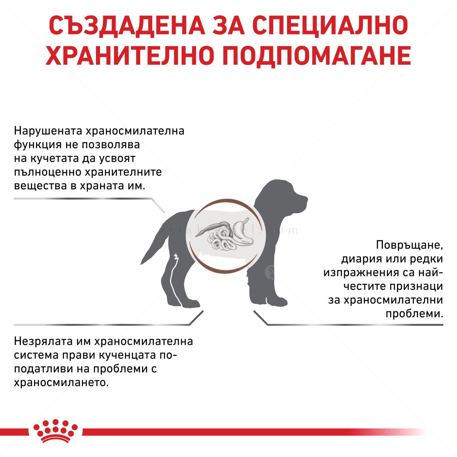 ROYAL CANIN Veterinary Dog Gastrointestinal Puppy 1 кг