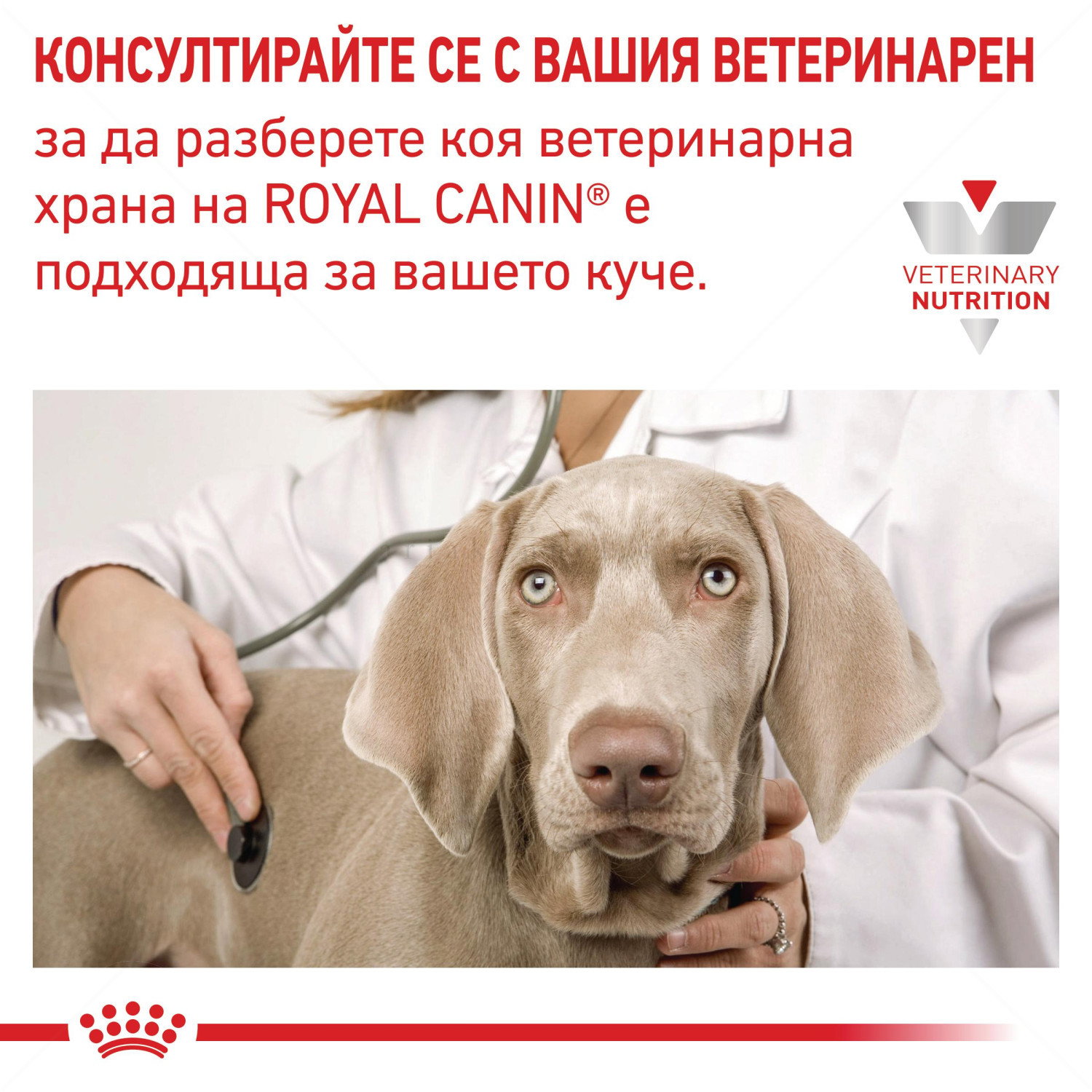 ROYAL CANIN Veterinary Dog Hypoallergenic Puppy 1.500 кг