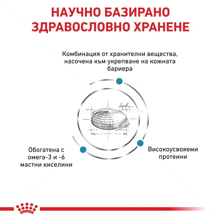 ROYAL CANIN Veterinary Dog Skin Care 11 кг