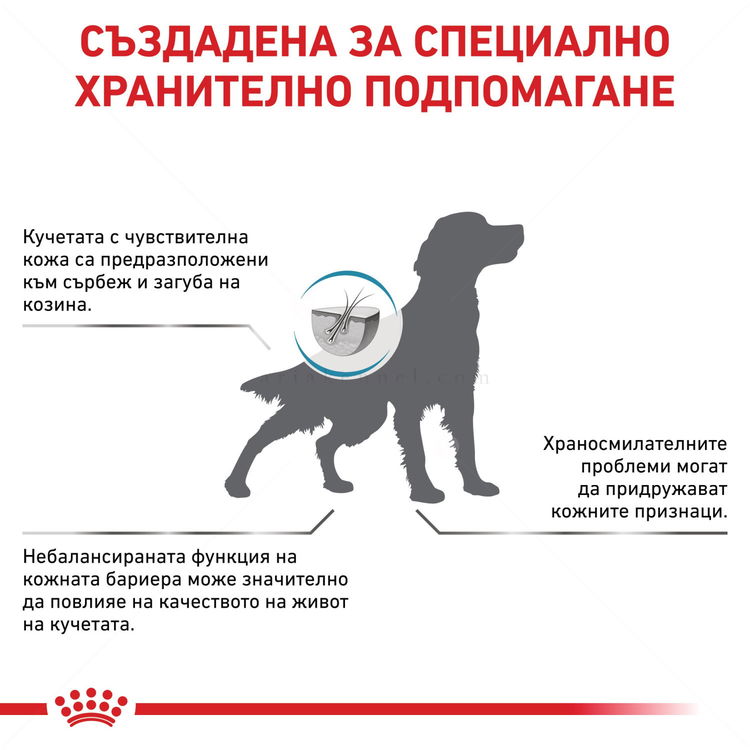 ROYAL CANIN Veterinary Dog Skin Care 2 кг