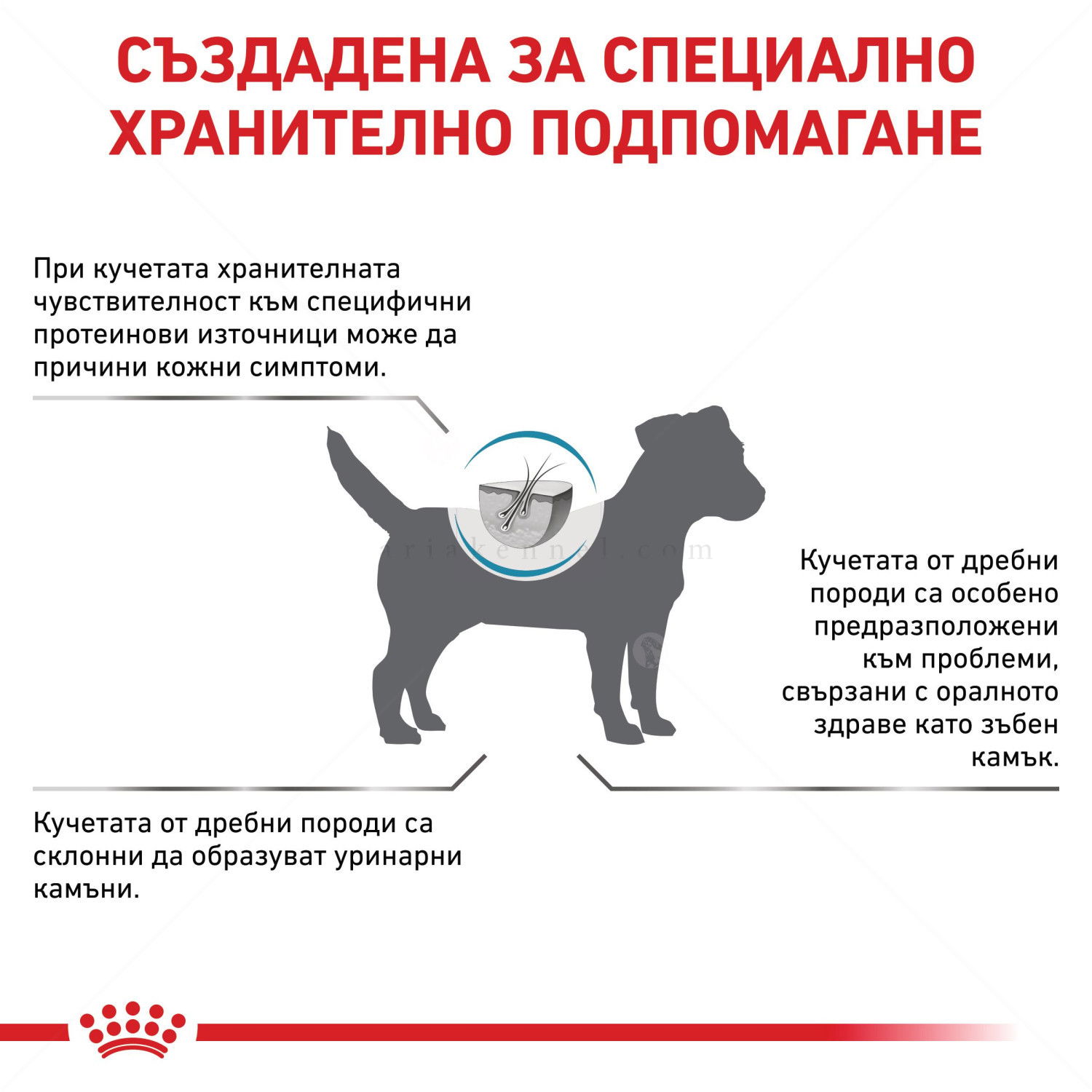 ROYAL CANIN Veterinary Dog Hypoallergenic Small Dog 1 кг