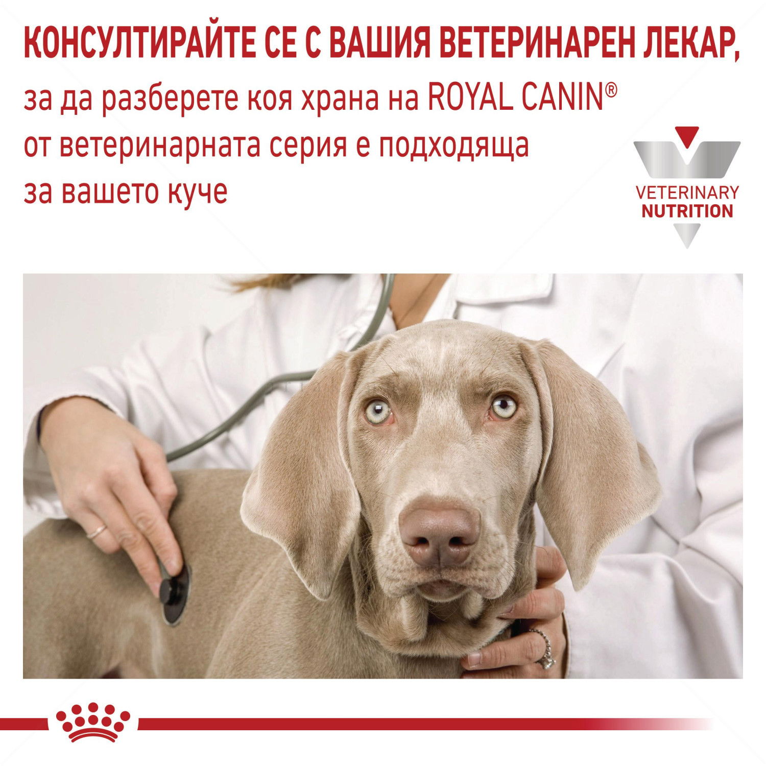 ROYAL CANIN Veterinary Dog Urinary S/O 13 кг