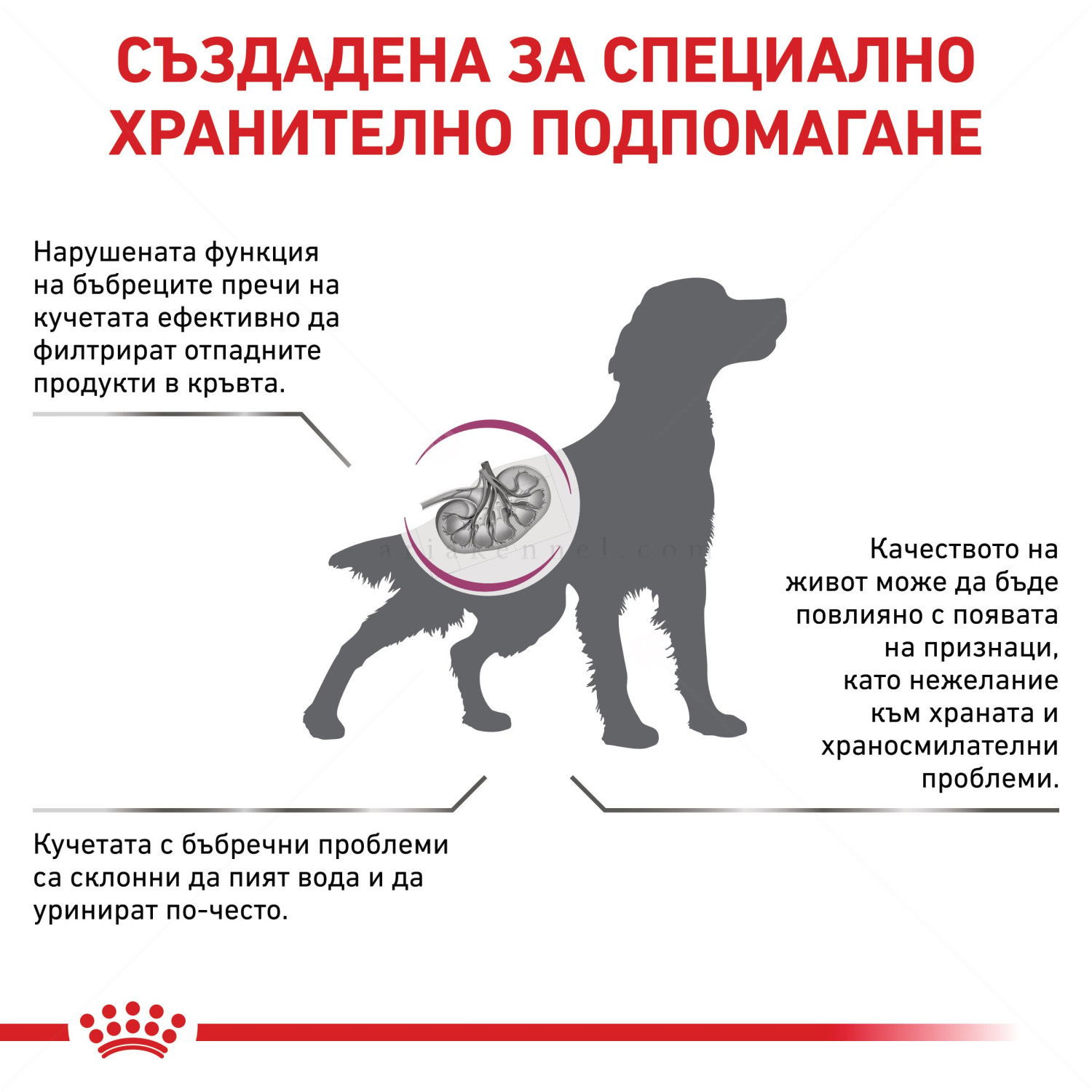 ROYAL CANIN Veterinary Dog Renal 7 кг