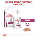 ROYAL CANIN Veterinary Dog Renal 7 кг