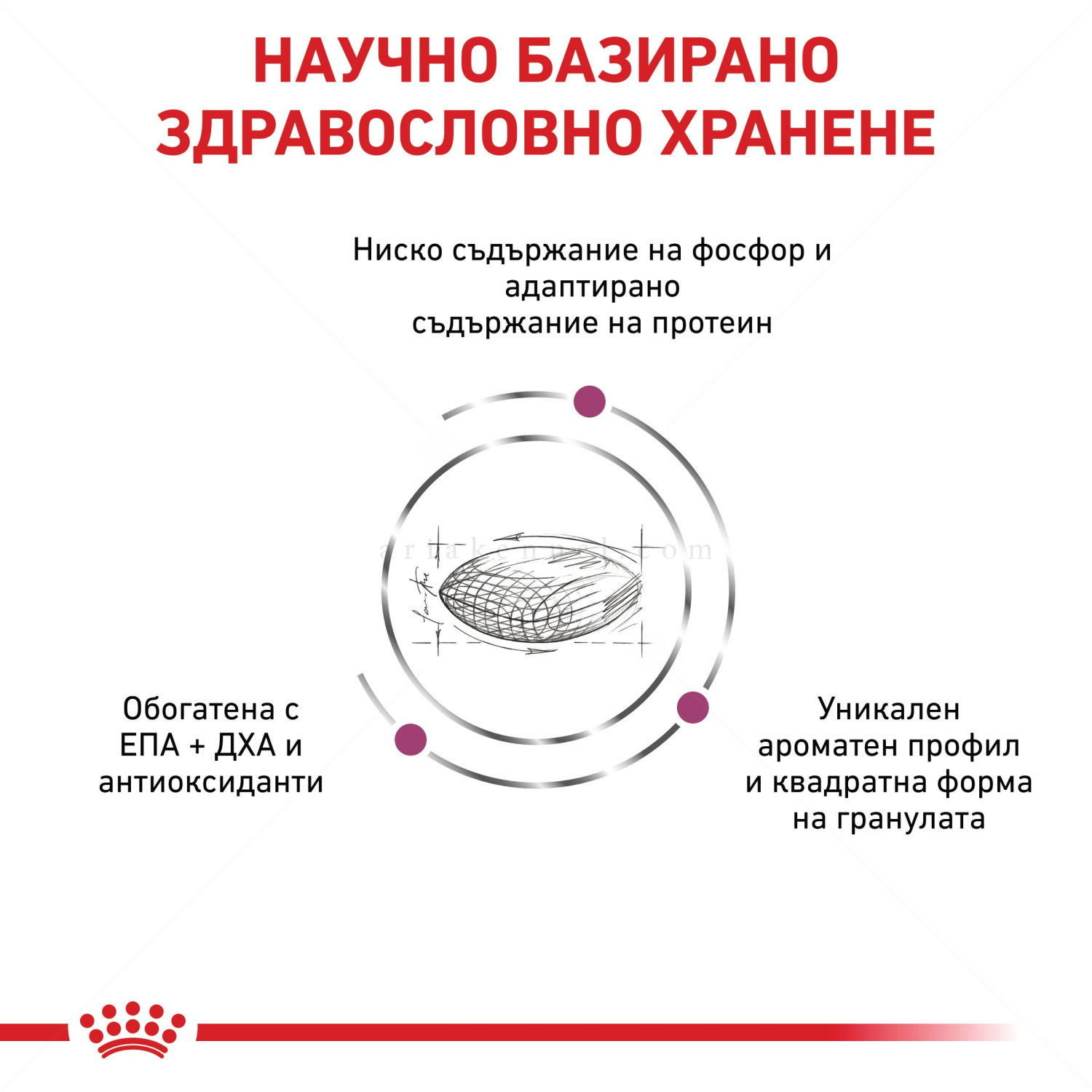 ROYAL CANIN Veterinary Dog Renal 2 кг