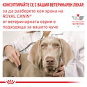 ROYAL CANIN Veterinary Dog Renal Small Dog 1.500 кг
