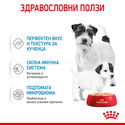 Консерва фин пастет ROYAL CANIN Starter Mousse Mother & Babydog