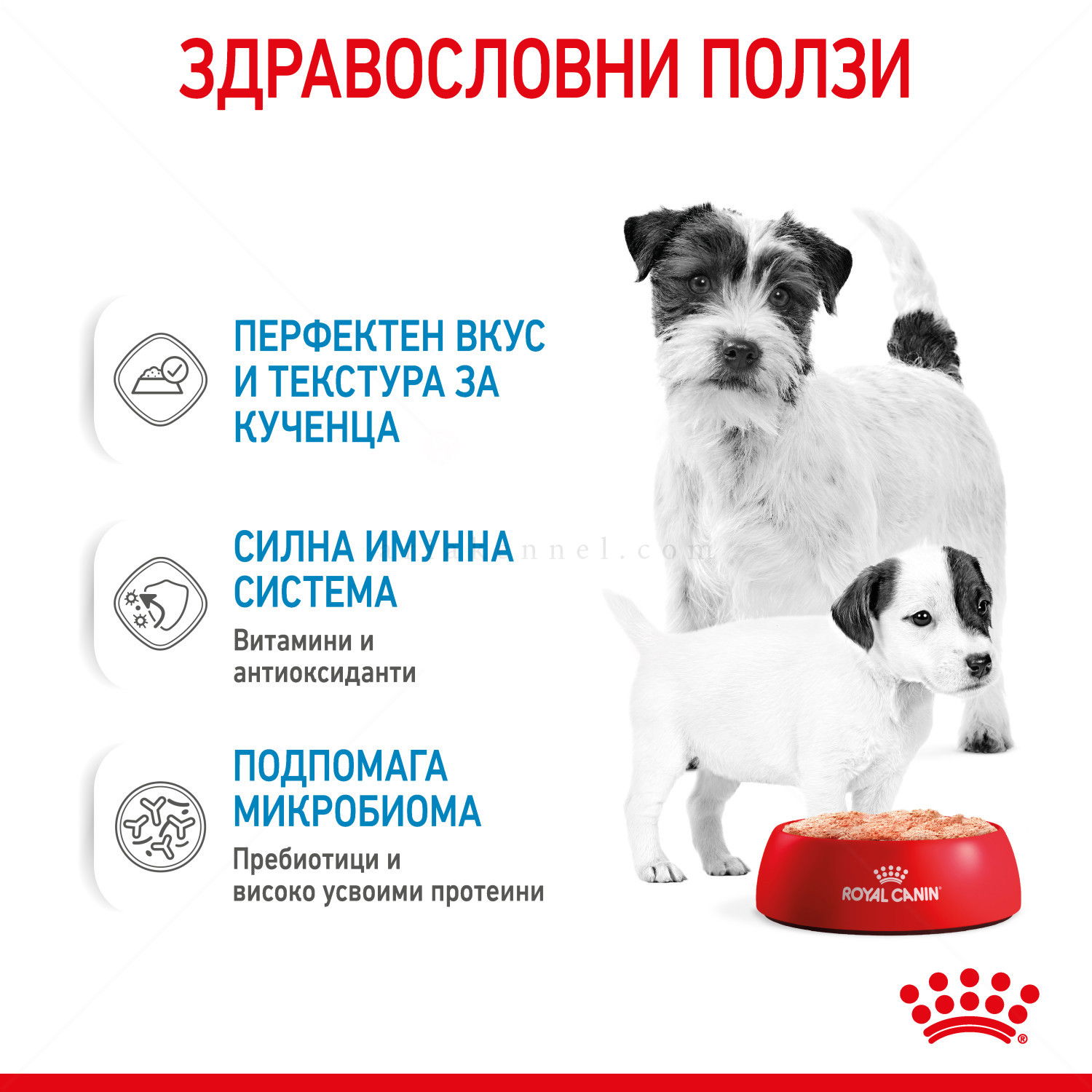 Консерва фин пастет ROYAL CANIN Starter Mousse Mother & Babydog