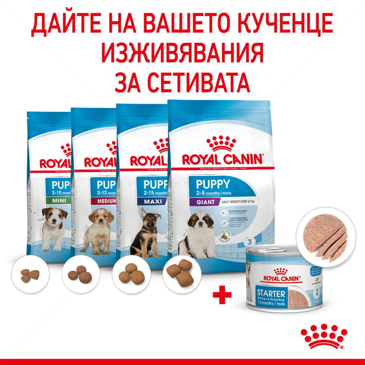 Консерва фин пастет ROYAL CANIN Starter Mousse Mother & Babydog