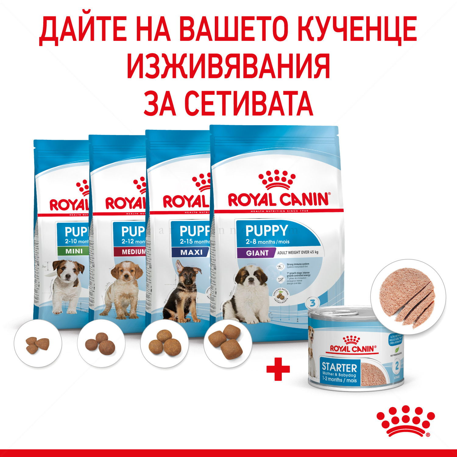 Консерва фин пастет ROYAL CANIN Starter Mousse Mother & Babydog