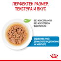 Пауч за подрастващи кученца от дребни породи ROYAL CANIN Mini puppy