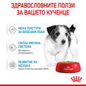 Пауч за подрастващи кученца от дребни породи ROYAL CANIN Mini puppy