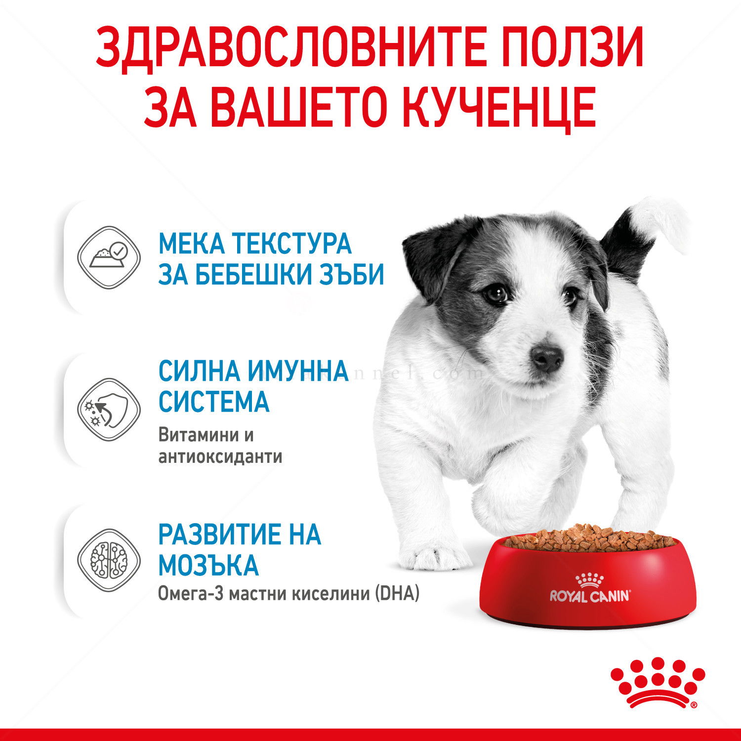 Пауч за подрастващи кученца от дребни породи ROYAL CANIN Mini puppy