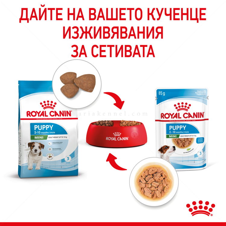 Пауч за подрастващи кученца от дребни породи ROYAL CANIN Mini puppy