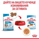 Пауч за подрастващи кученца от дребни породи ROYAL CANIN Mini puppy