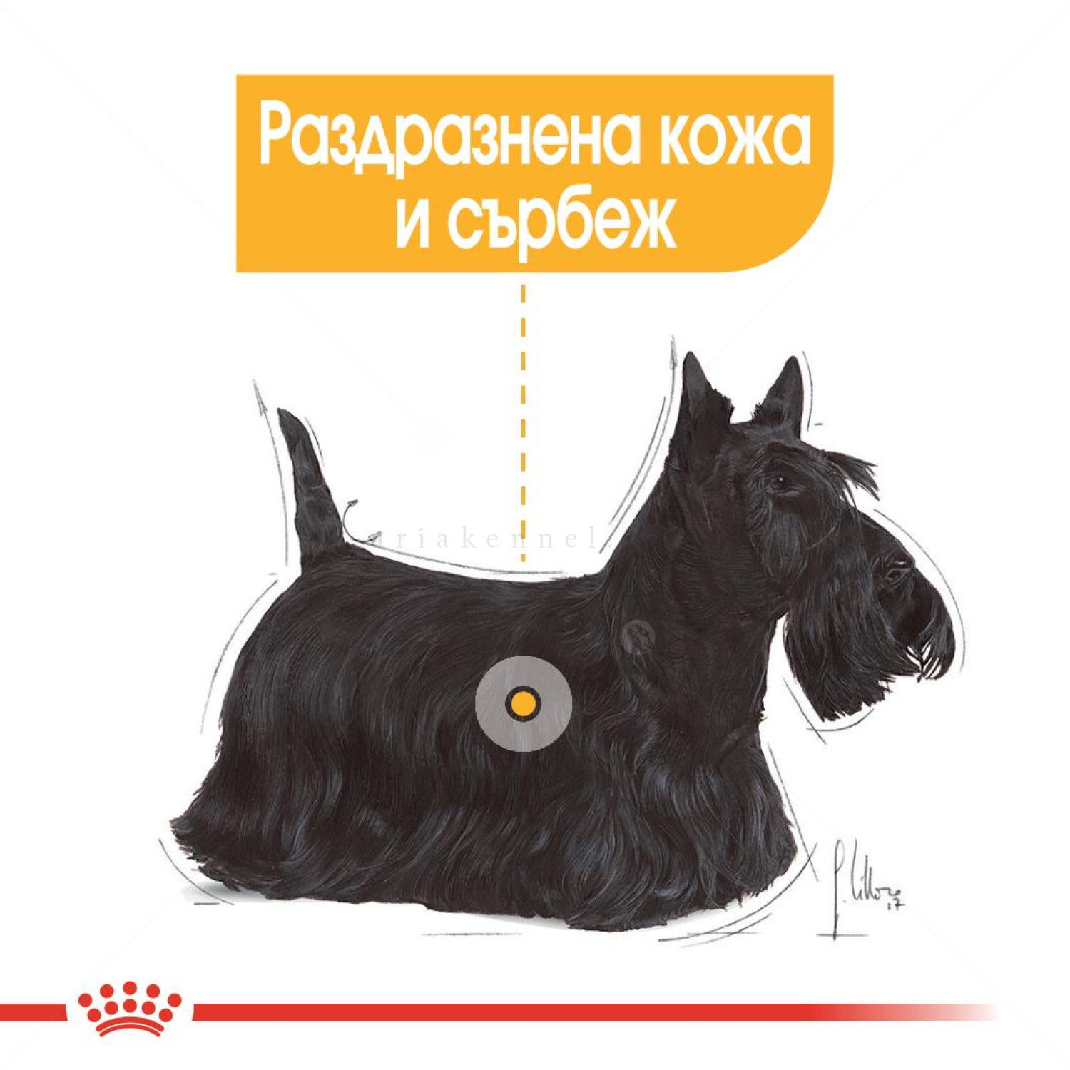 Пауч за кучета с чувствителна кожа ROYAL CANIN Dermacomfort