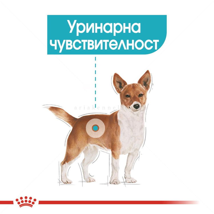 Пауч за здрав уринарен тракт ROYAL CANIN Urinary Care