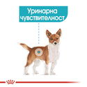 Пауч за здрав уринарен тракт ROYAL CANIN Urinary Care