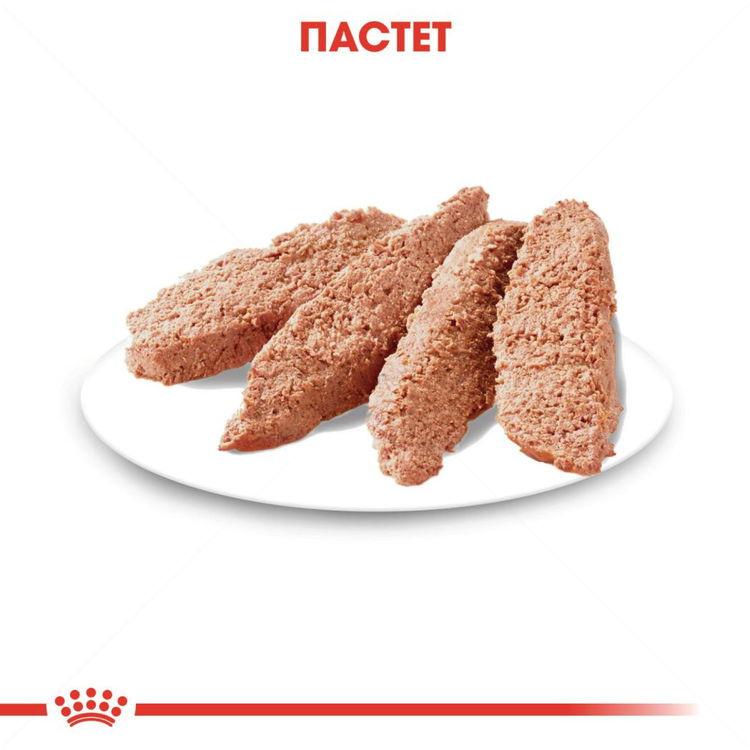 Пауч за капризни кучета ROYAL CANIN Exigent