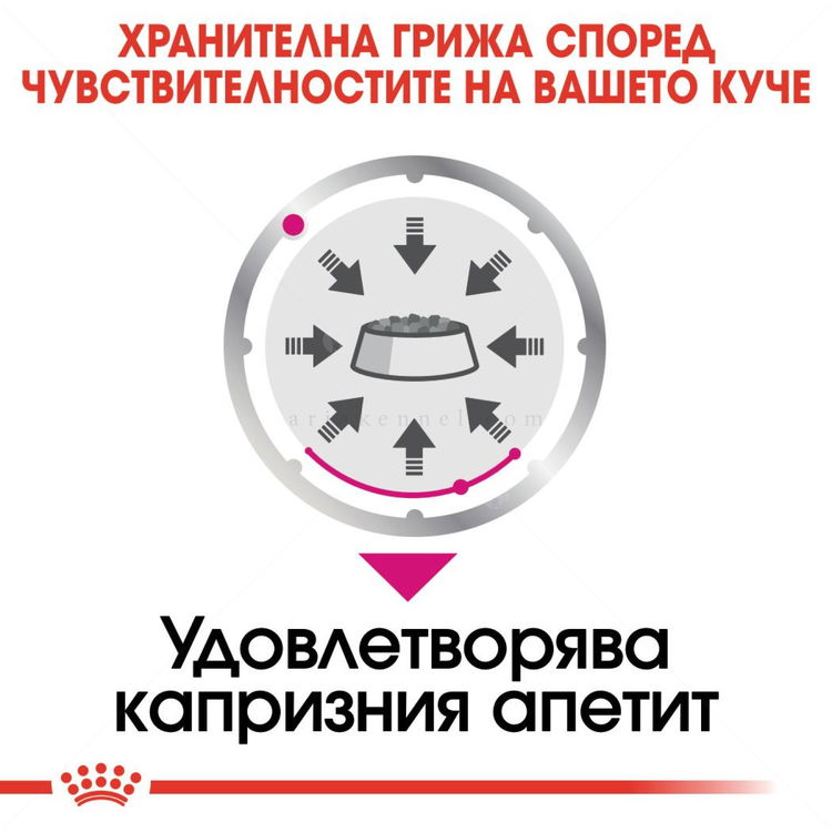 Пауч за капризни кучета ROYAL CANIN Exigent