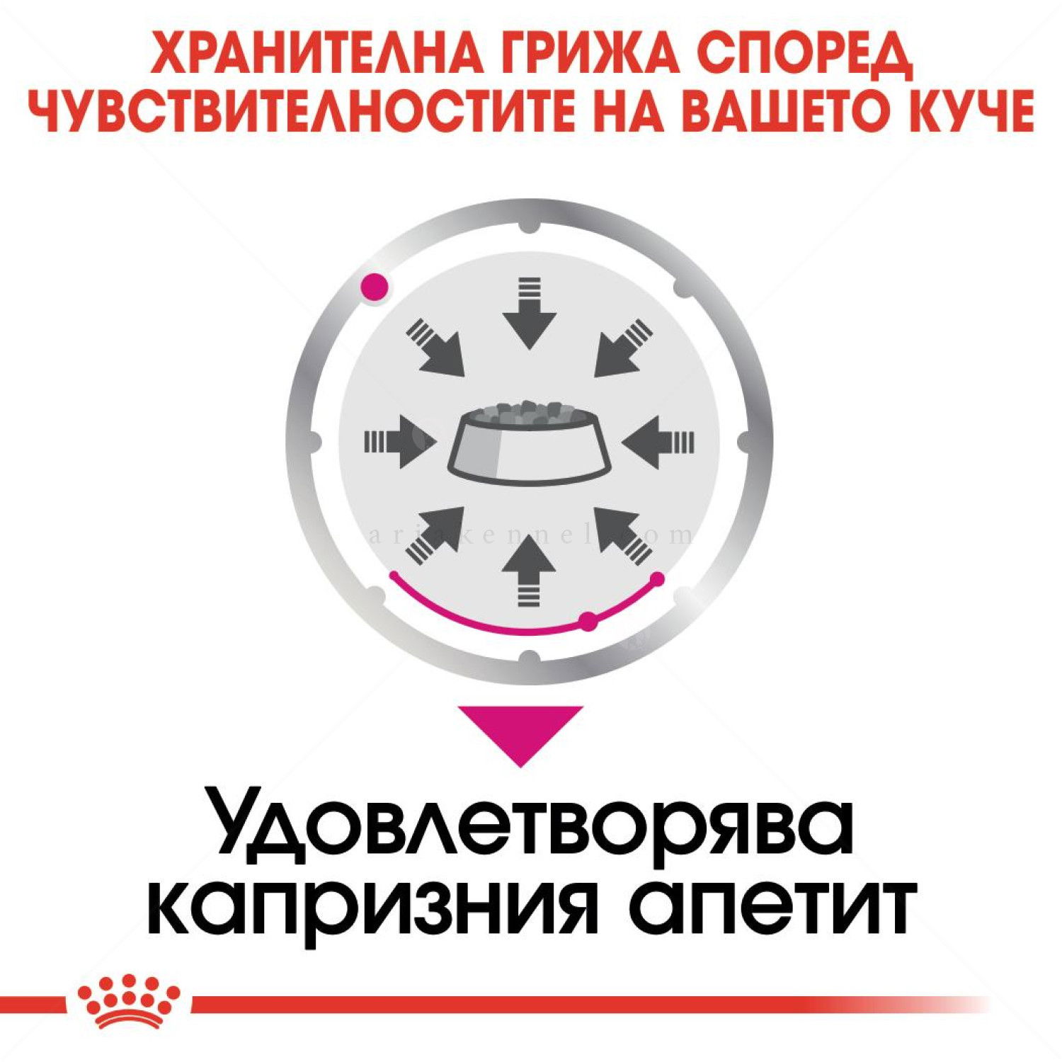 Пауч за капризни кучета ROYAL CANIN Exigent