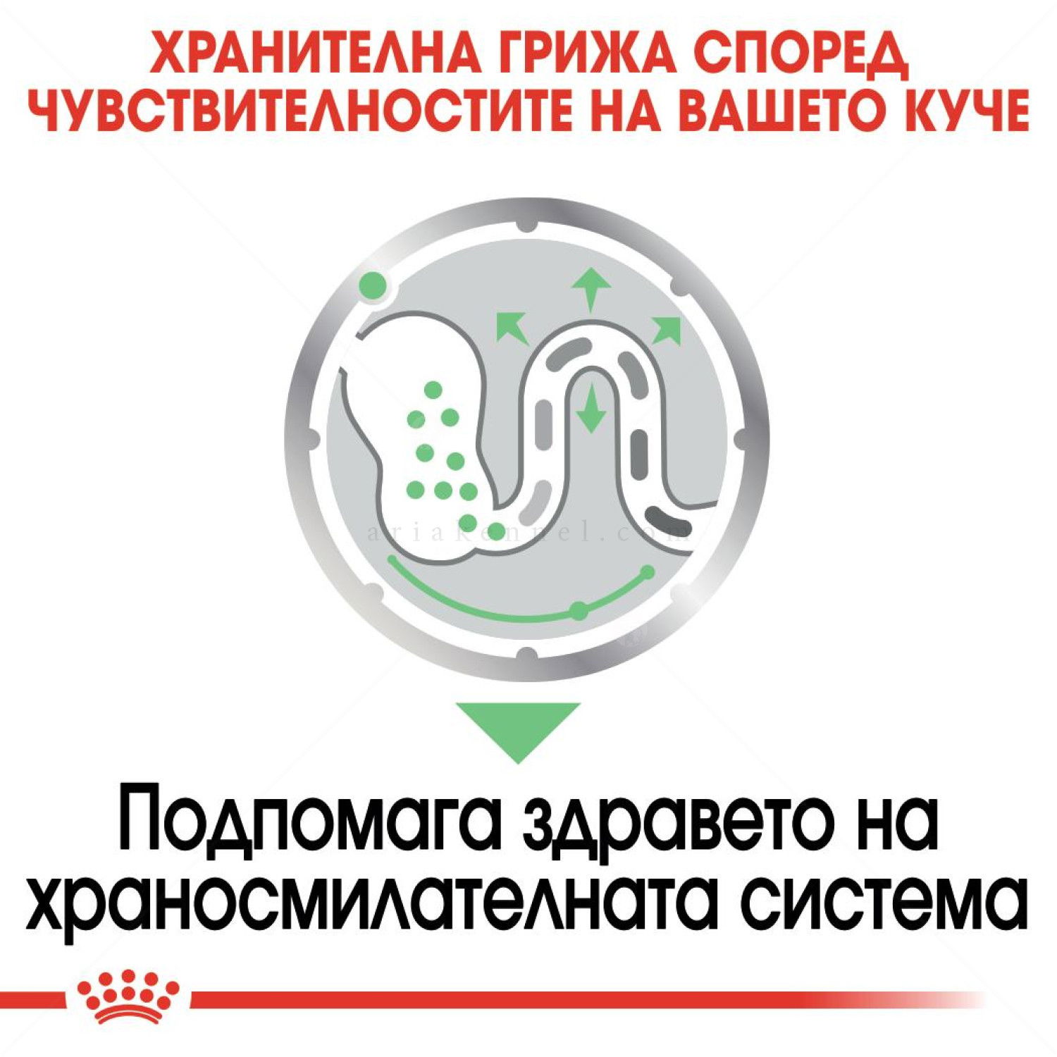 Пауч за кучета с чувствителен стомах ROYAL CANIN Digestive Care