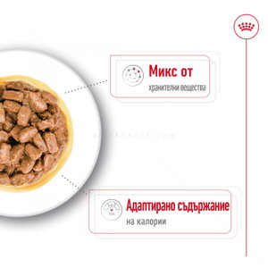 Пауч за кучета над 12 години от дребни породи ROYAL CANIN Mini ageing