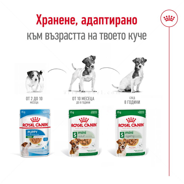Пауч за кучета над 12 години от дребни породи ROYAL CANIN Mini ageing
